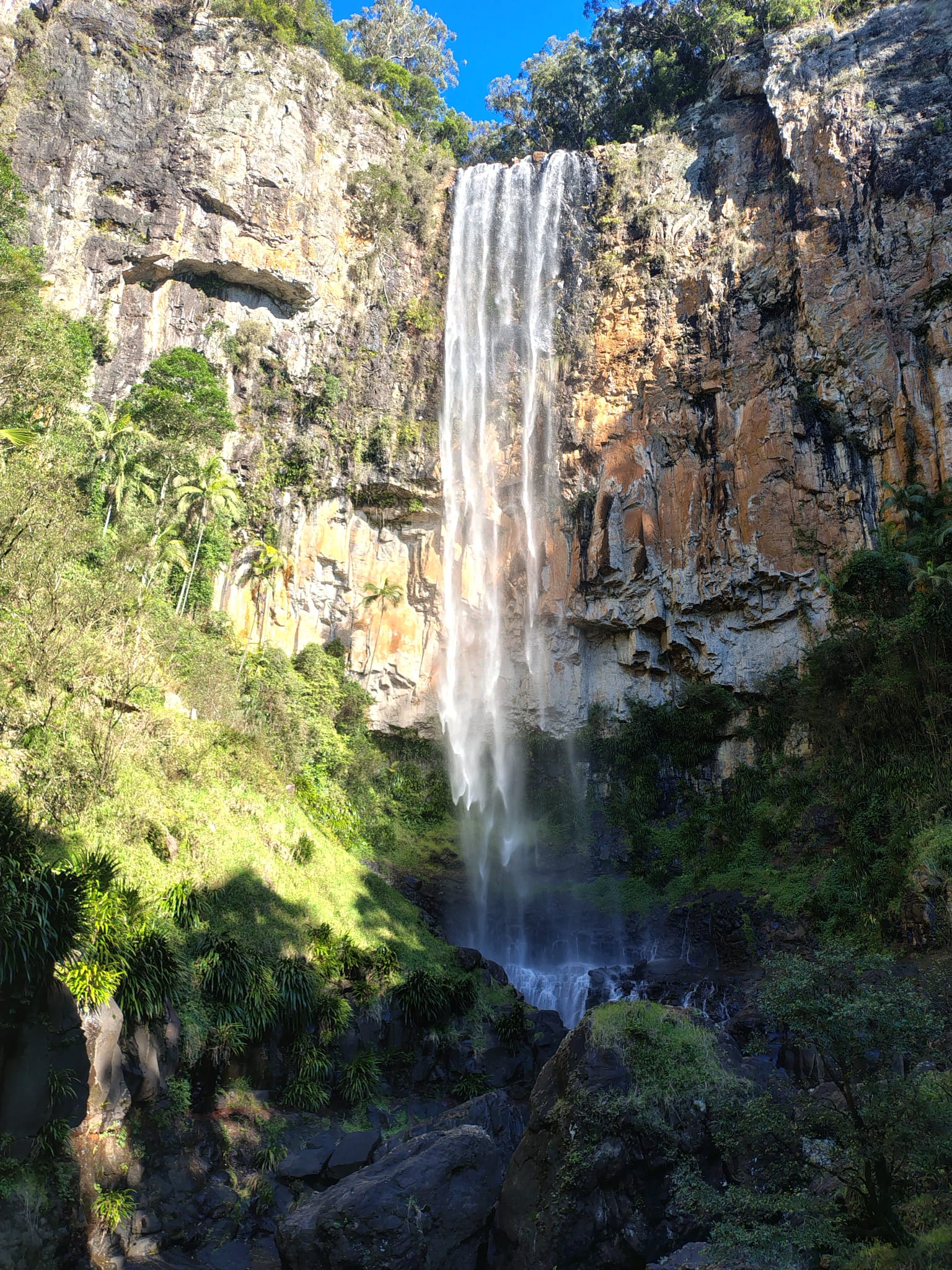 Springbrook waterfalls and rainforest private tour