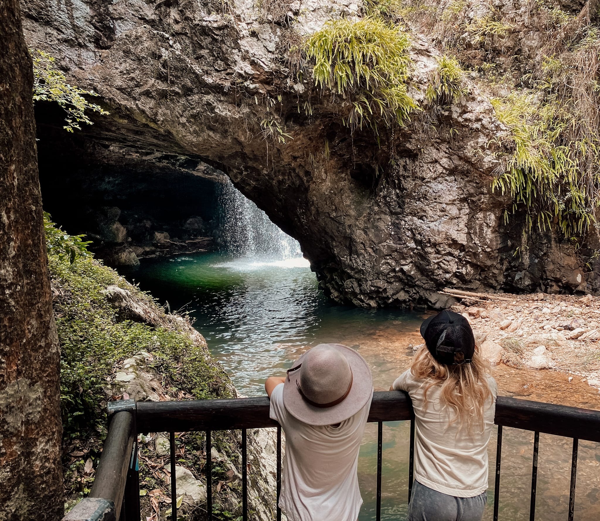 Gold Coast Wildlife Safari at Natural Bridge in Springbrook National Park